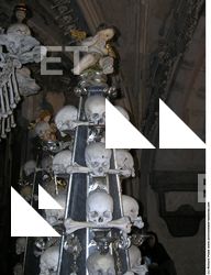 Photo Textures of Bones