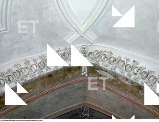 Photo Reference of Bones