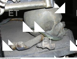 Photo Reference of Bones