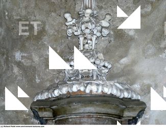 Photo Reference of Bones