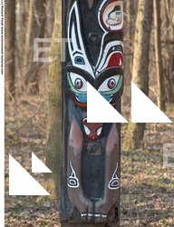 Photo Texture of Totems