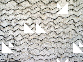 Photo textures of Walls Stucco