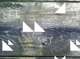 Photo Textures of Wood Bare