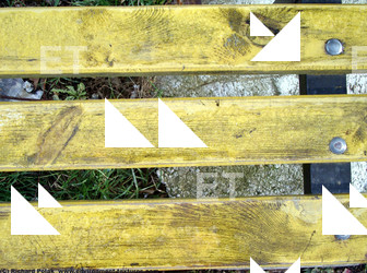 Photo Textures of Mixed Wood