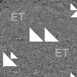 Photo Session