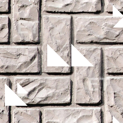 Photo Session