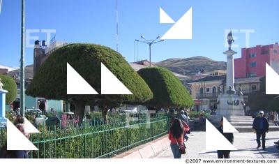 Trees