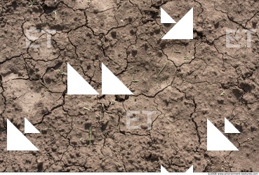 Ground Various