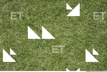 Grass
