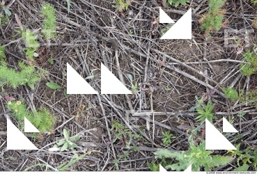 Ground Gravel