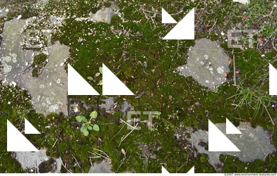 Ground Various