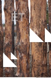 Wood