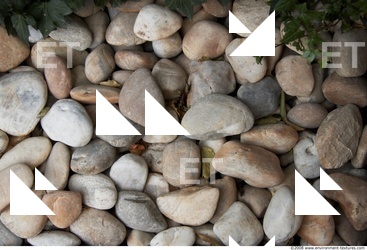 Ground Gravel