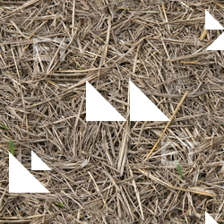 Seamless Grass