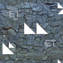 Seamless Bark