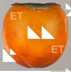 Fruits Vegetables