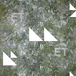 Seamless Grass
