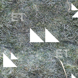 Seamless Grass
