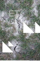 Ground Various