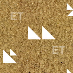Seamless Ground
