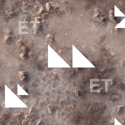 Seamless Ground