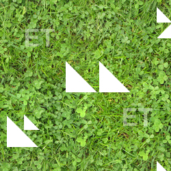 Seamless Grass