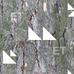 Seamless Bark