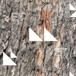 Seamless Bark