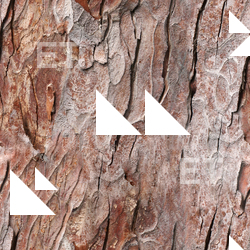 Seamless Bark