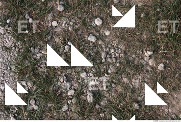 Grass
