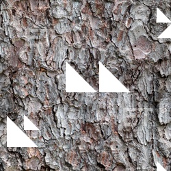 Seamless Bark