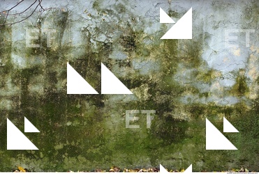 Walls Stucco