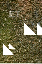 Walls Stucco