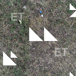 Seamless Grass