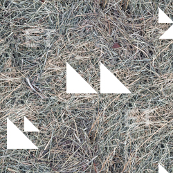 Seamless Grass