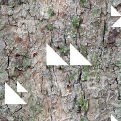 Seamless Bark