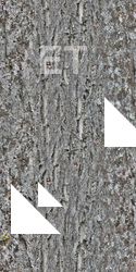 Seamless Bark