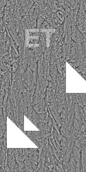Seamless Bark
