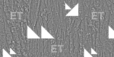 Seamless Bark