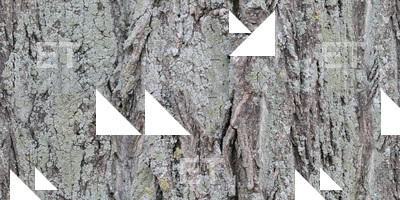 Seamless Bark