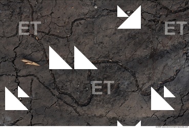 Ground Various