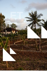 Background Nature