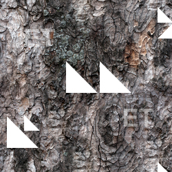 Seamless Bark