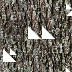 Seamless Bark