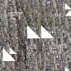 Seamless Bark