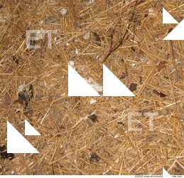 Ground Thatch