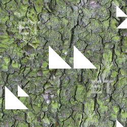 Seamless Bark