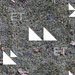 Seamless Grass