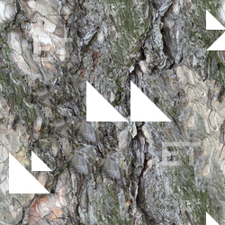 Seamless Bark