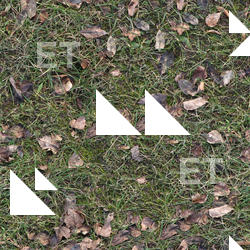 Seamless Grass